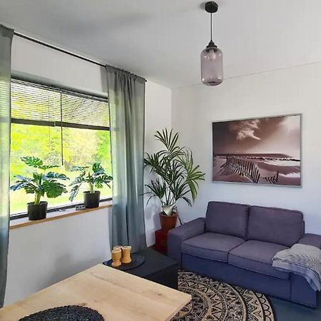 נורדוויקרהוט Studio Tussen De Bossen En De Bollenvelden מראה חיצוני תמונה