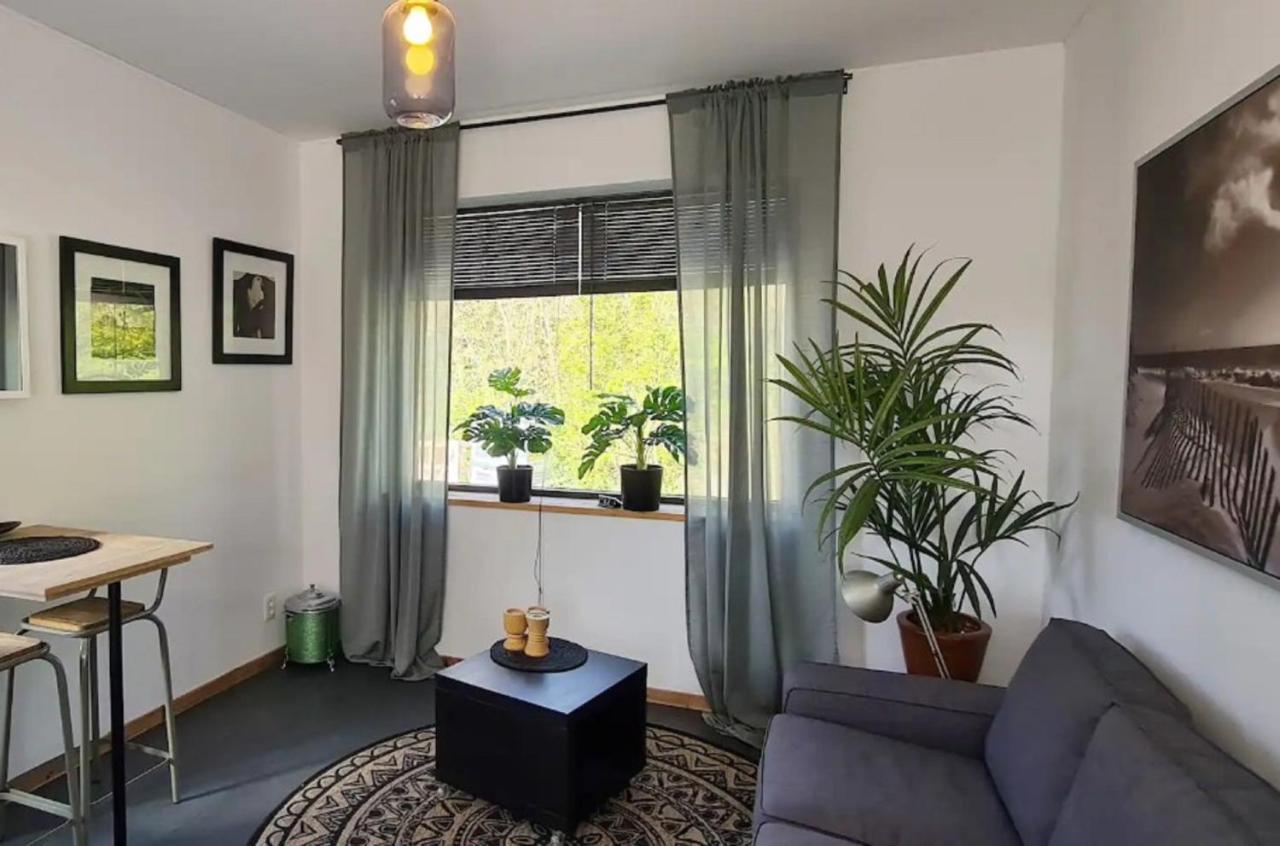 נורדוויקרהוט Studio Tussen De Bossen En De Bollenvelden מראה חיצוני תמונה